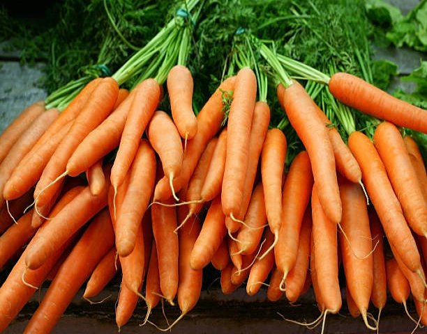 Carrot/Gajar