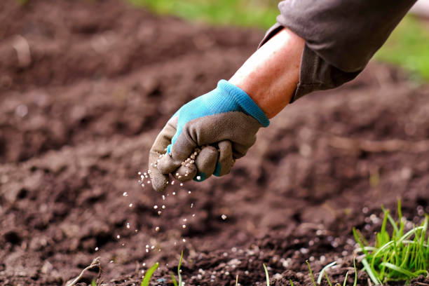 Fertilizer